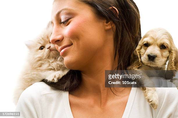 my loves, - cute puppies and kittens stock pictures, royalty-free photos & images