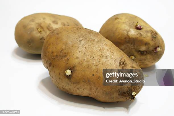 papas - germinar fotografías e imágenes de stock