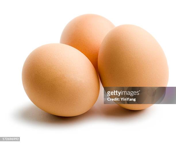 three organic brown eggs, fresh dairy food isolated on white - animal egg stock pictures, royalty-free photos & images