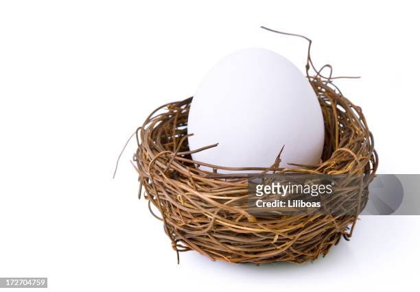 nest egg - animal nest stock pictures, royalty-free photos & images
