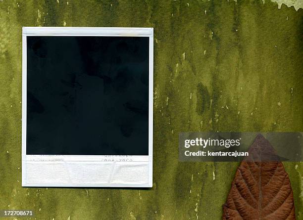 organic picture - blank photo album stock pictures, royalty-free photos & images