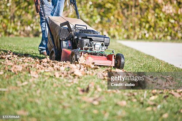 yard maintenance - cutting grass stock pictures, royalty-free photos & images
