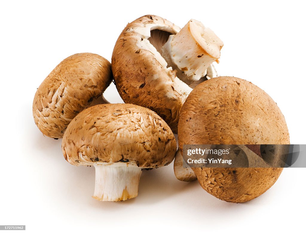 Baby Portabello Mushrooms, Fresh Raw Vegetable Isolated on White Background