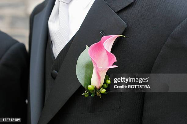 groom's boutonniere - buttonhole flower stock pictures, royalty-free photos & images