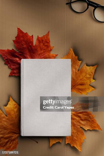 Portadas Fall 136 Portada De Noviembre En Stock Photos, High-Res Pictures, and Images ...