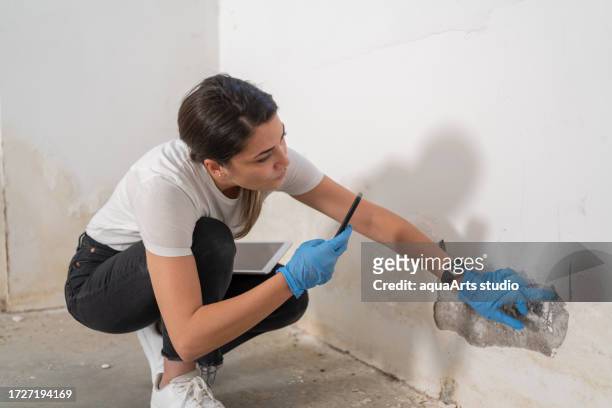 building inspection - humidity stock pictures, royalty-free photos & images