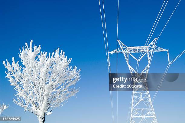 high power - netsnoer stockfoto's en -beelden