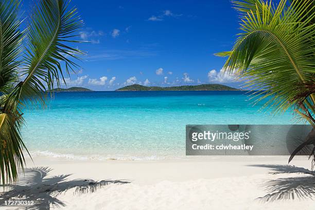 jungferninseln-strand - tropical climate stock-fotos und bilder