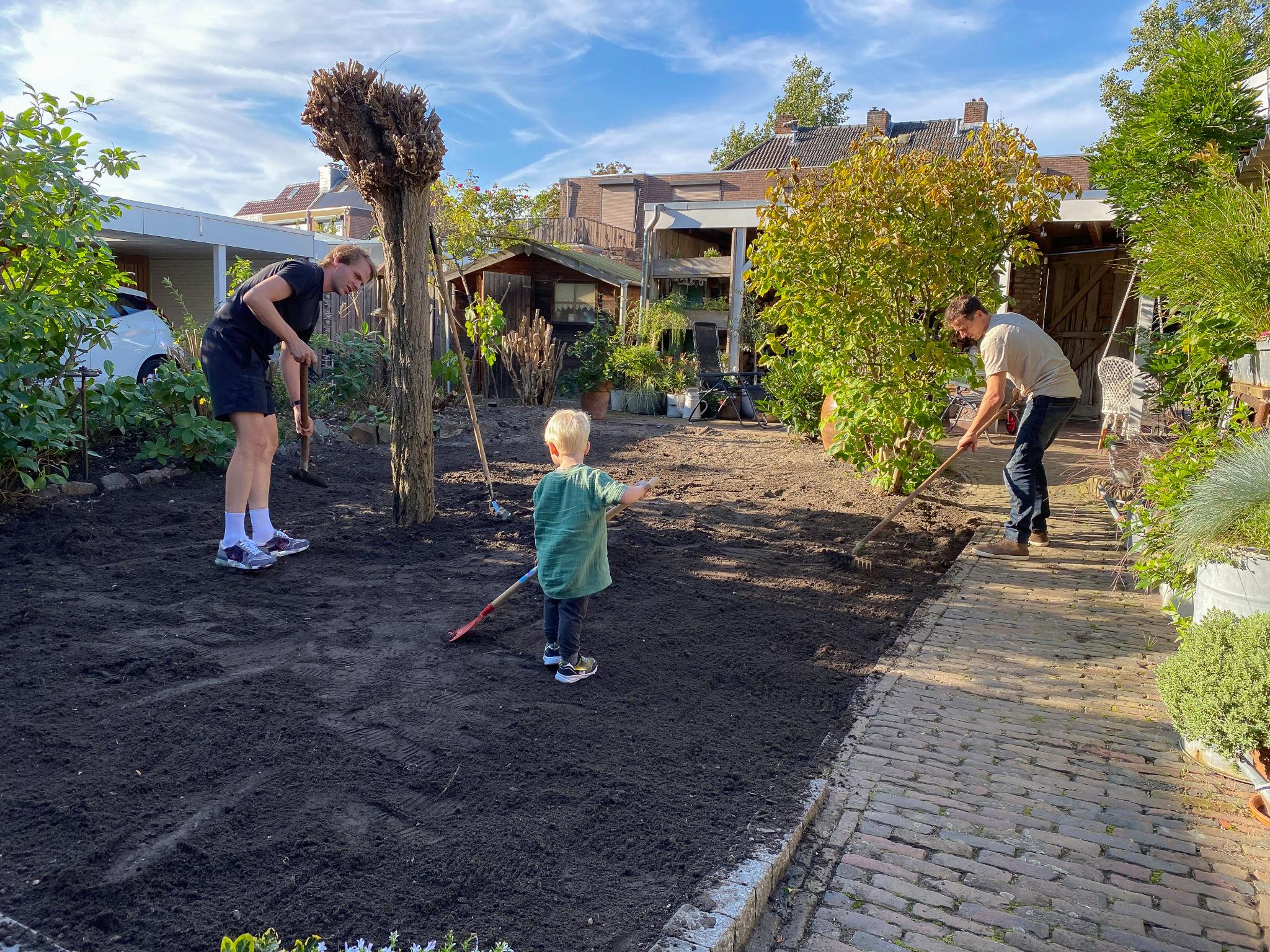 spring renovation