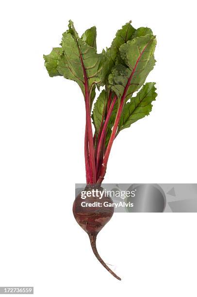 red beet with top-isolated on white - beet stock pictures, royalty-free photos & images