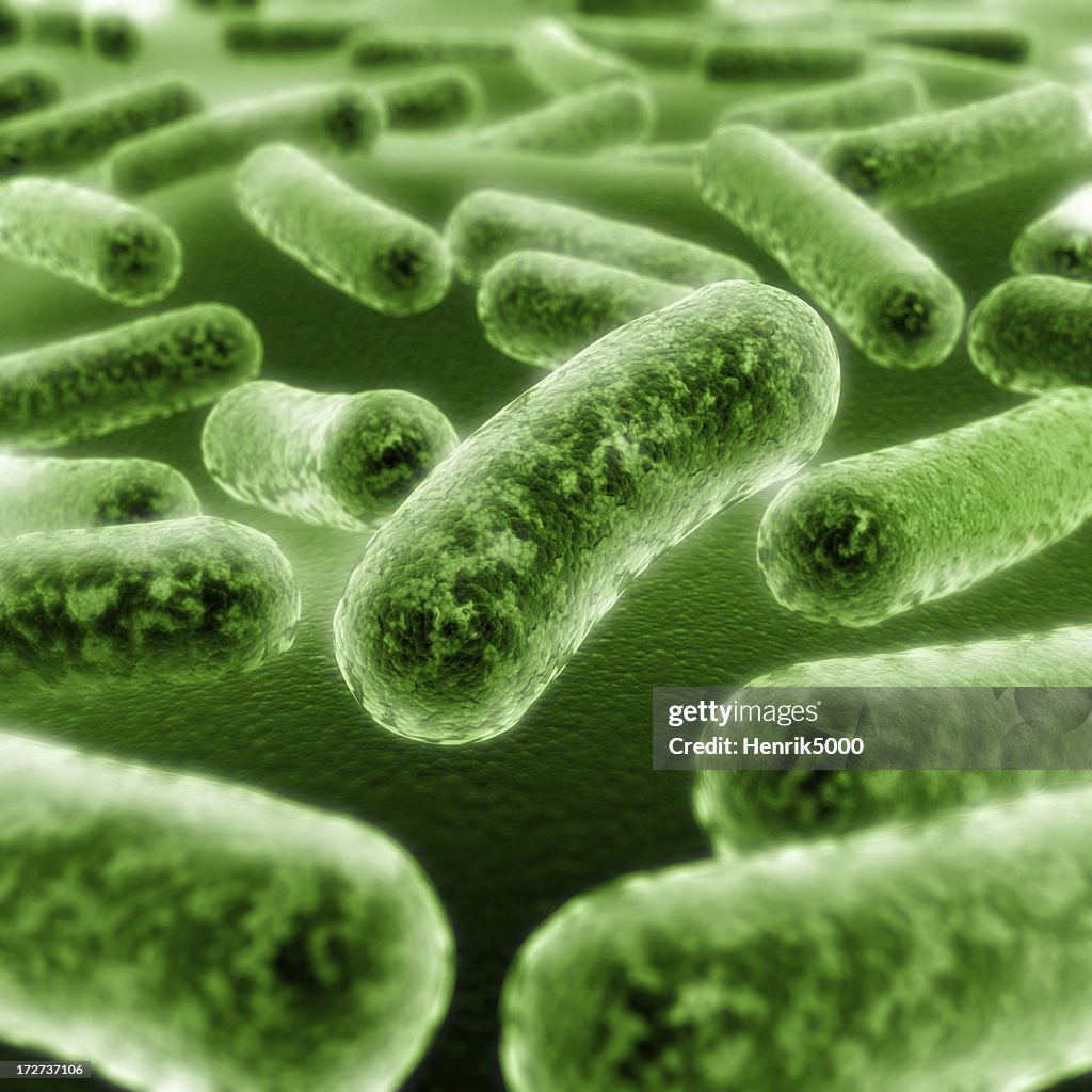 Bacteria closeup