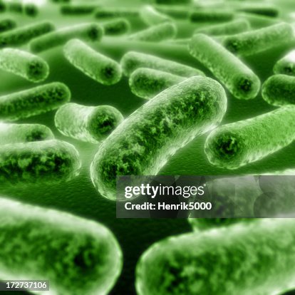 Bacteria closeup Bacteria closeup
