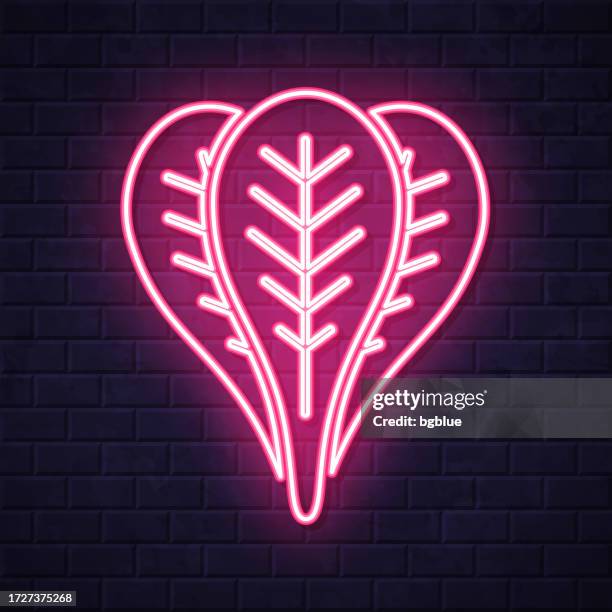 spinach. glowing neon icon on brick wall background - spinach stock illustrations