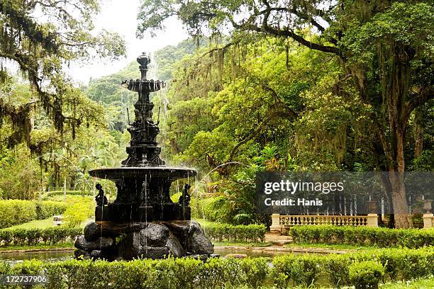 botanic gardens - botanical garden stockfoto's en -beelden