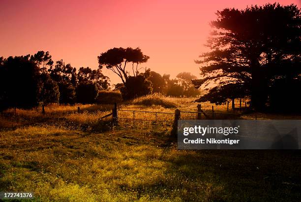 surreal aussie countryside - margaret river australia stock pictures, royalty-free photos & images