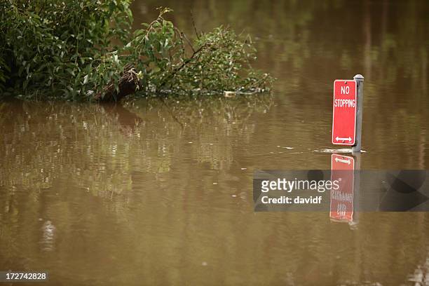 inondazione lismore - nuovo galles del sud foto e immagini stock