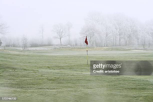 frost on putting green - golfvlag stockfoto's en -beelden