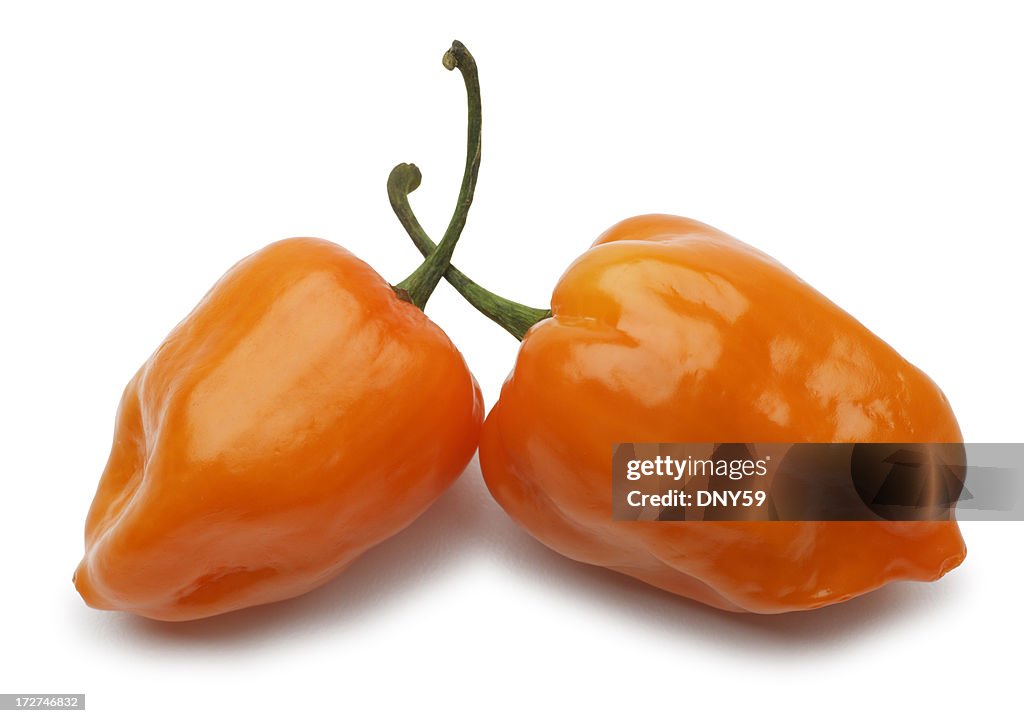 Habanero