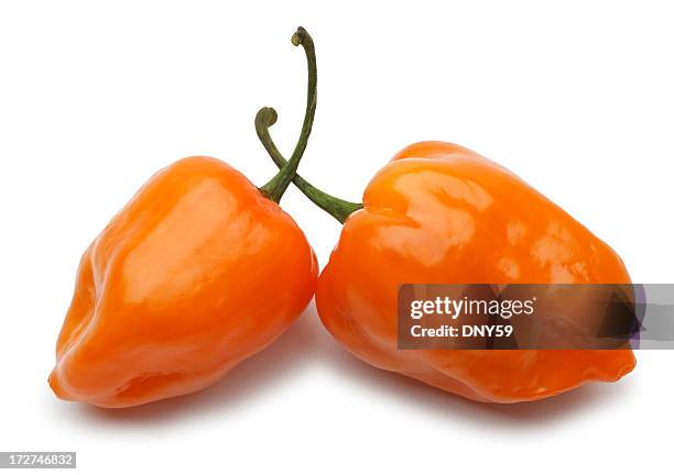 habanero - chili pepper on white stock pictures, royalty-free photos & images