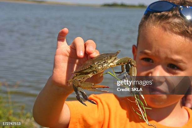 young boy looking at blue crab in his hand - chesapeake bay stock pictures, royalty-free photos & images