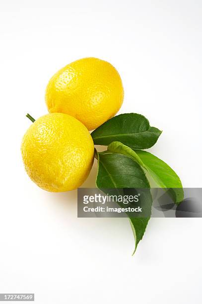lemons mit blätter auf weißem hintergrund - zitronensaft stock-fotos und bilder
