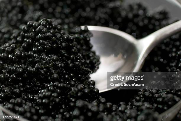 cuchara de caviar - caviar fotografías e imágenes de stock