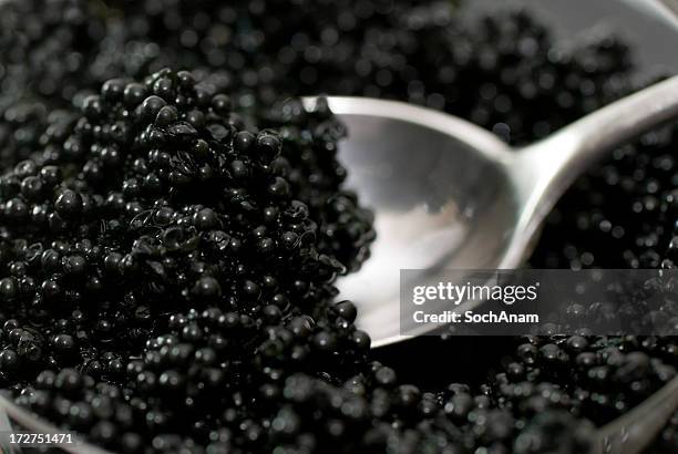 spoon in caviar - fish roe stock pictures, royalty-free photos & images