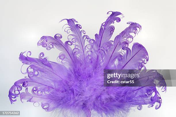 fancy purple feather fan on white background - feather fan stock pictures, royalty-free photos & images