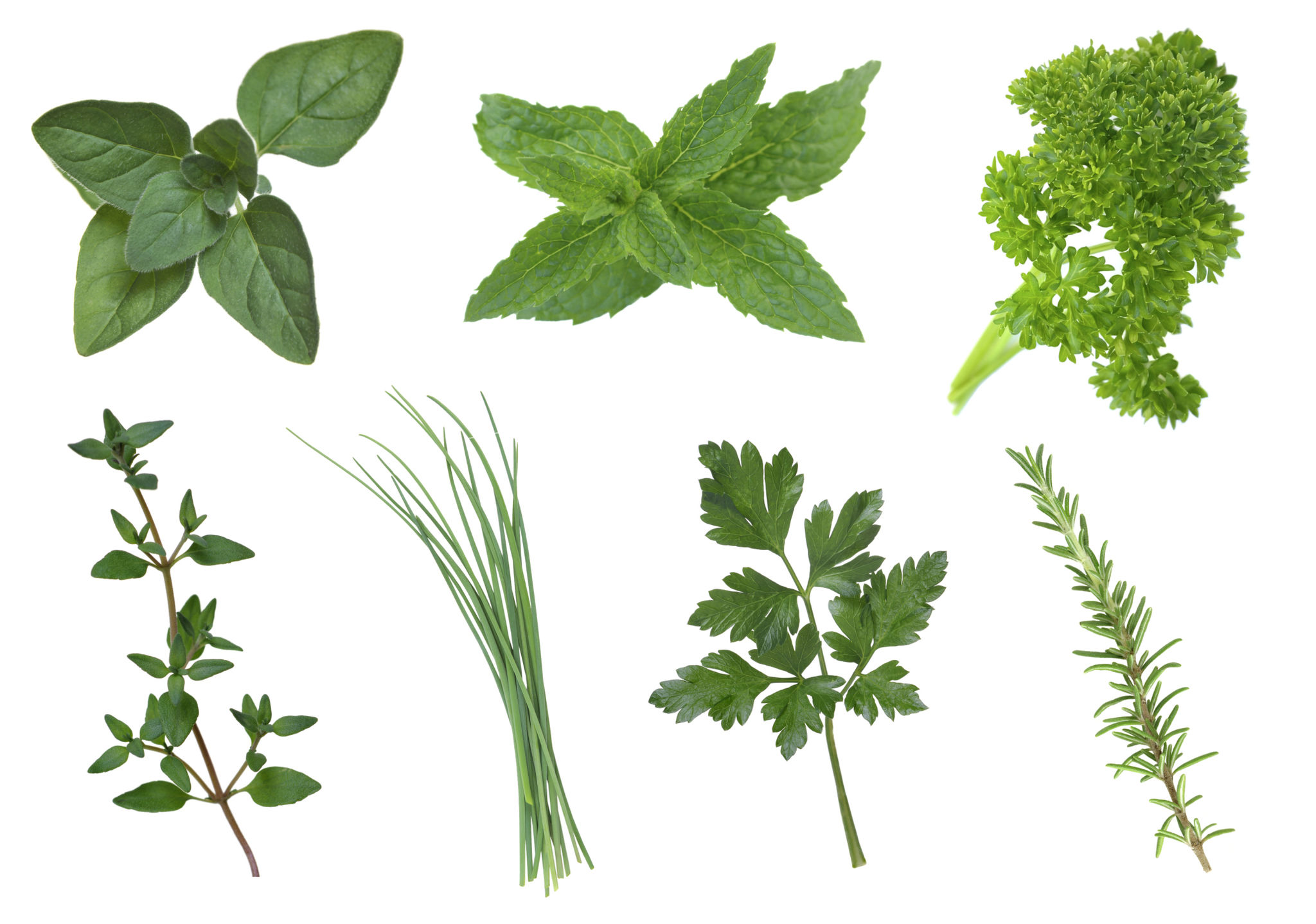 thyme leaves