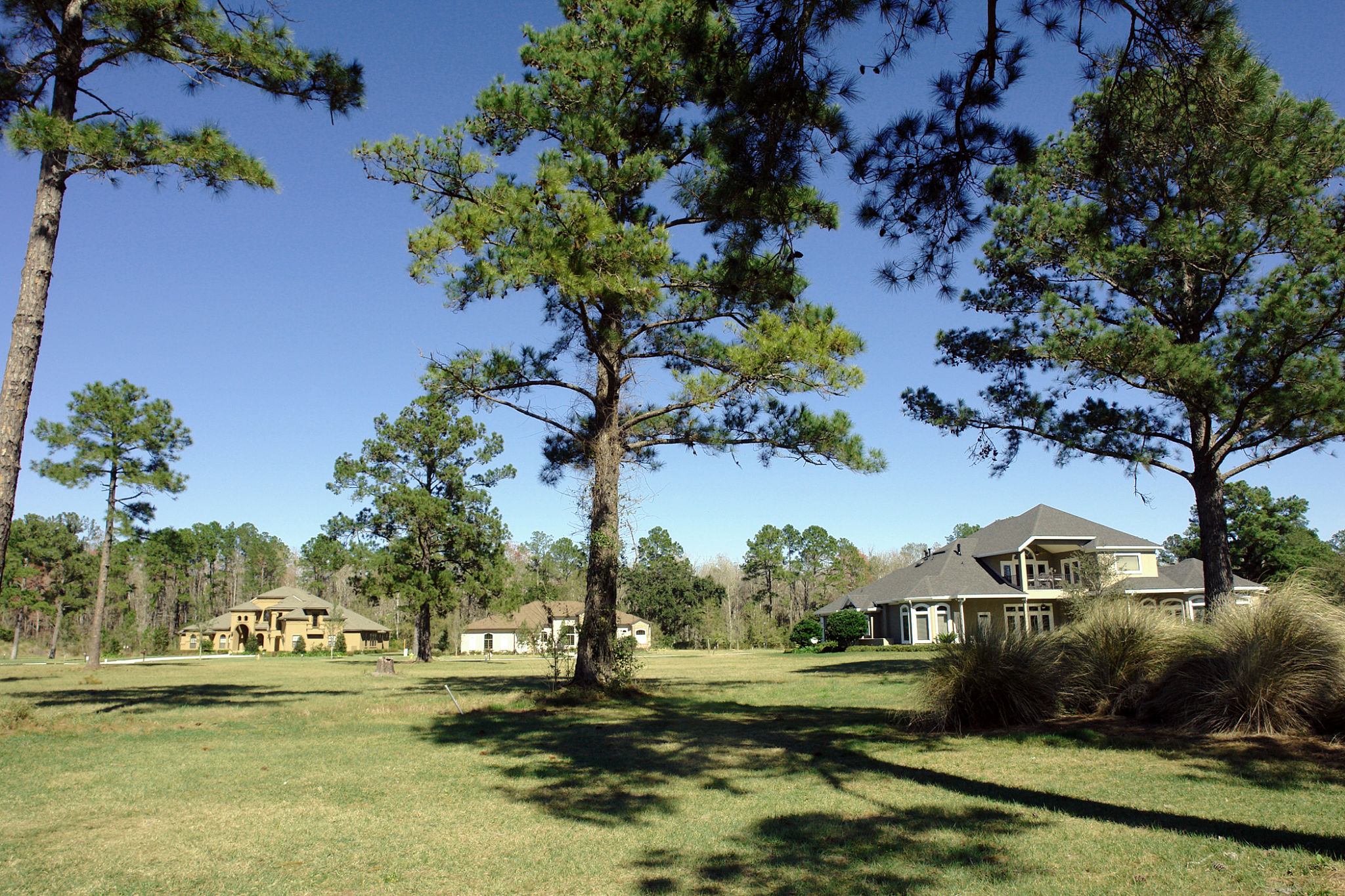 reid plantation homes