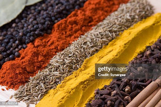 rows of spices 3 - indian spice stock pictures, royalty-free photos & images