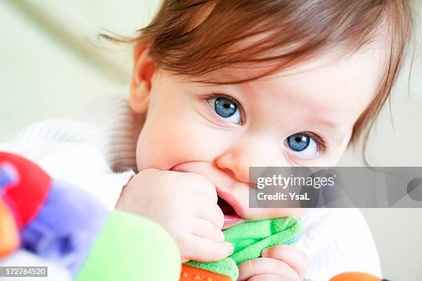baby-discovery - gezahnt stock-fotos und bilder