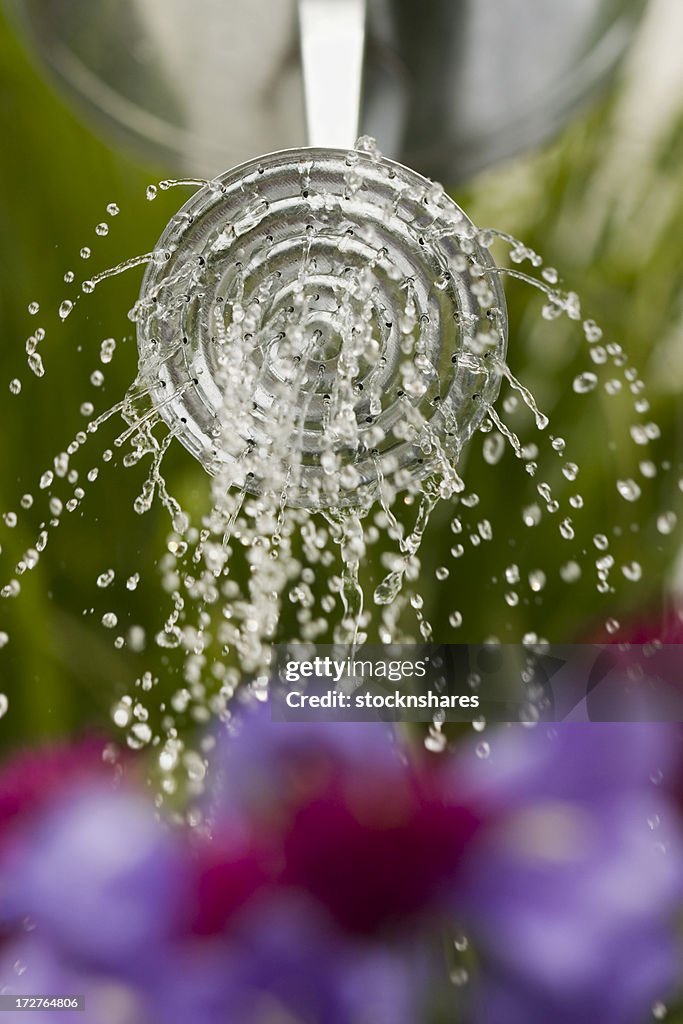 Watering the Flowers