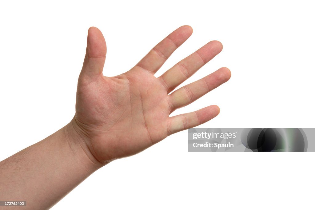 オープンハンド