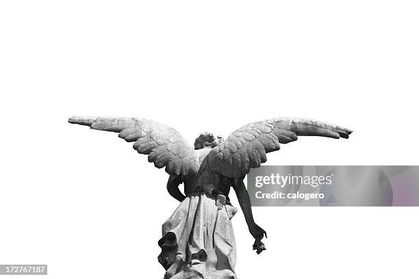 statue of a winged angel photographed from behind - statue stockfoto's en -beelden