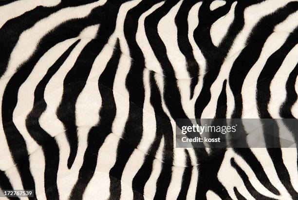 black and white zebra print background - fake fur stock pictures, royalty-free photos & images