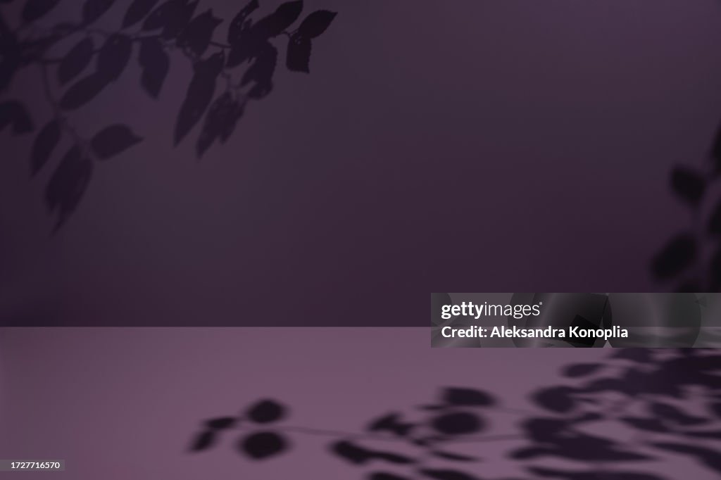 Minimal empty dark purple monochrome colored room background. Modern studio showcase, product display, 3d stage, pink table with natural tree leaves shadows.