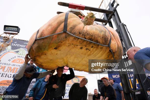 Travis Gienger's giant pumpkin 749 pounds in weight, is lifted at the Safeway 50th annual World Championship Pumpkin Weigh-Off on October 9, 2023 in...