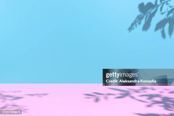 minimal empty pastel pink and blue colored room background. modern studio showcase, product display, 3d stage, pink table with natural hawthorn tree shadows. - barbie bildbanksfoton och bilder