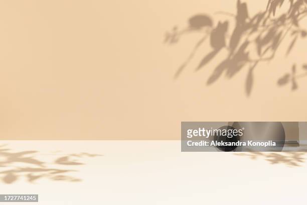 minimal empty cream and beige room background. modern studio showcase, product display, 3d stage,  front view of table with natural tree leaves shadows. - summer abstract background stock-fotos und bilder