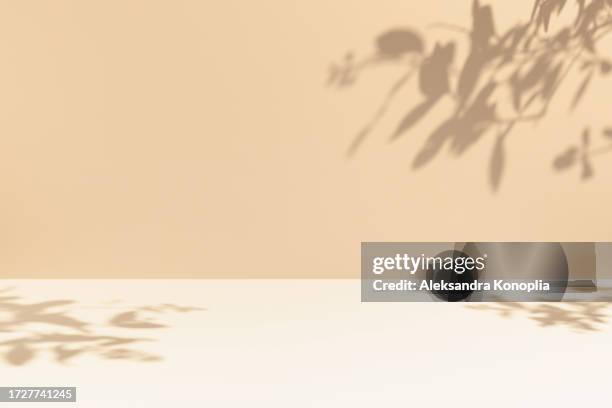 minimal empty cream and beige room background. modern studio showcase, product display, 3d stage,  front view of table with natural tree leaves shadows. - beauty cosmetic luxury studio background stock pictures, royalty-free photos & images