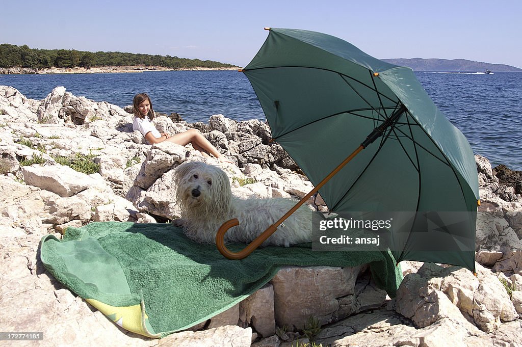 Dog under umbrella