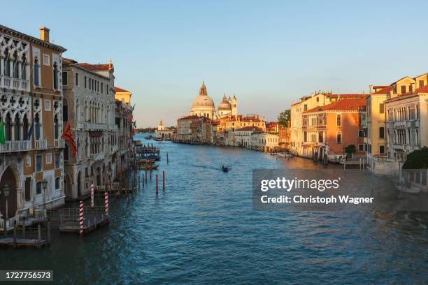 venedig, venezia, venice - campanile venice stock pictures, royalty-free photos & images