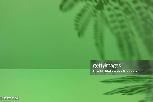 minimal empty monochrome green room background. modern studio showcase, product display, 3d stage,  front view of table with natural tropical tree leaves shadows. - beauty cosmetic luxury studio background stock pictures, royalty-free photos & images