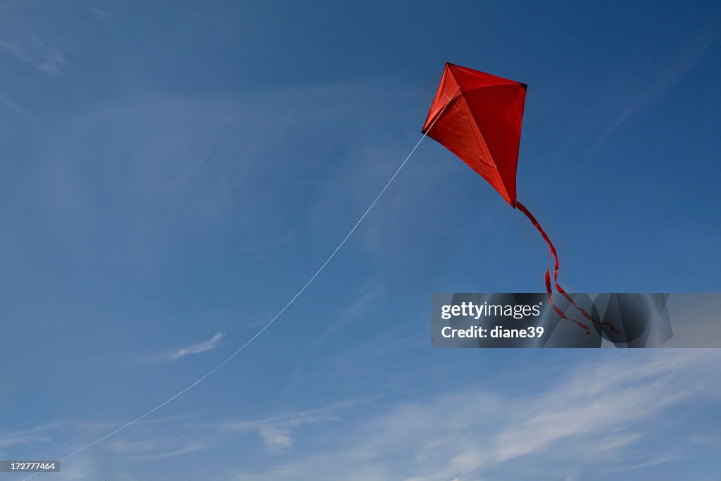 Red kite in the sky