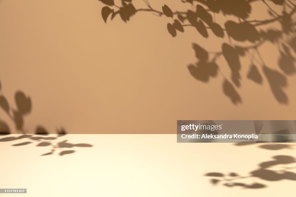 Minimal empty brown and beige room background. Modern studio showcase, product display, 3d stage, front view of table with natural tree leaves shadows.