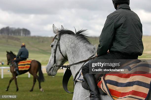 schooling the racehorses - hindernisrace paardenrennen stockfoto's en -beelden