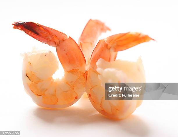 shrimp - prawn cocktail stock pictures, royalty-free photos & images