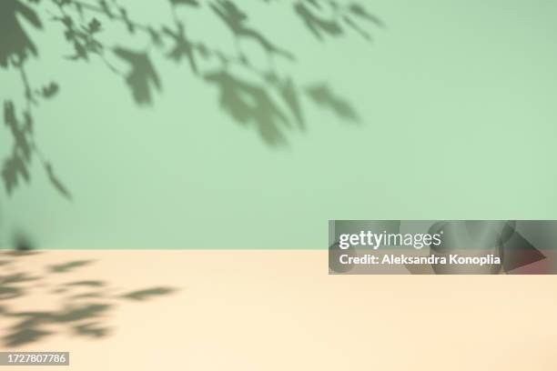 minimal empty mint green and cream beige colored room background. modern studio showcase, product display, 3d stage, pink table with natural hawthorn tree leaves shadows. - mint green stock pictures, royalty-free photos & images
