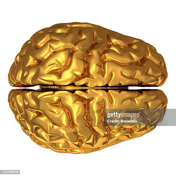 gold brain isolated on white - mental toughness stock pictures, royalty-free photos & images